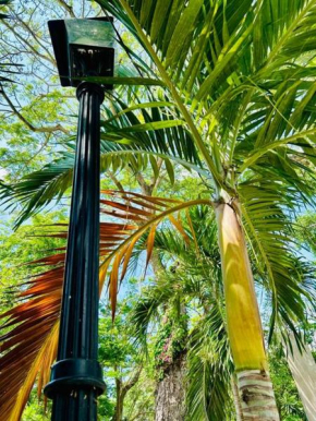 Studio Apt with Fully Equipped Kitchen in Negril